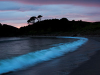 Ocean Wave, Matai Bay, Northland, New Zealand