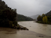 Whanganui River in Flood, Te Tuhi Landing